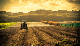 Lakši pristup financijskim sredstvima EU-a za ruralna područja